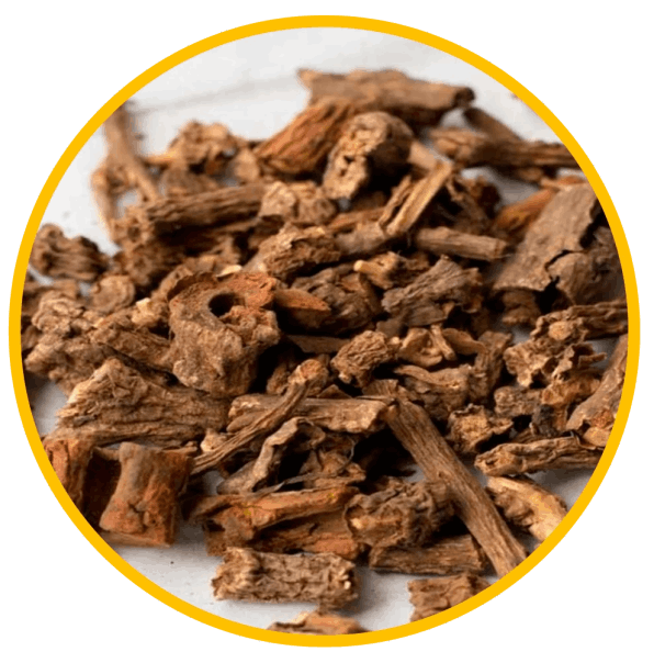 Sarsaparilla Root Extract