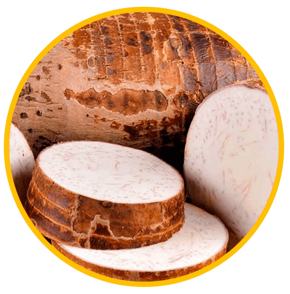 Wild Yam Root Extract